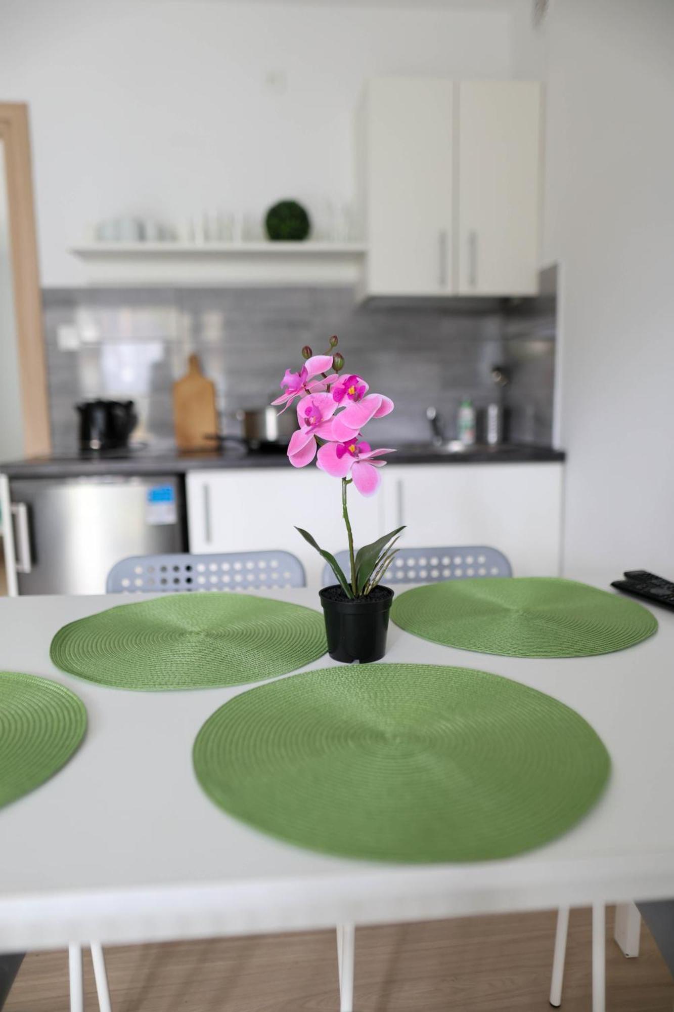 פודאובי Apartamenty Poddabek- Basen Kryty, Sauna, Animacje Dla Dzieci , Malpi Gaj, Baseny Na Dachu מראה חיצוני תמונה
